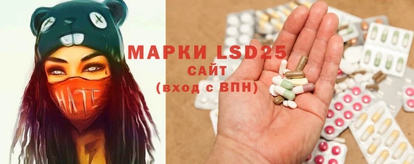 ГАЛЛЮЦИНОГЕННЫЕ ГРИБЫ Алексин