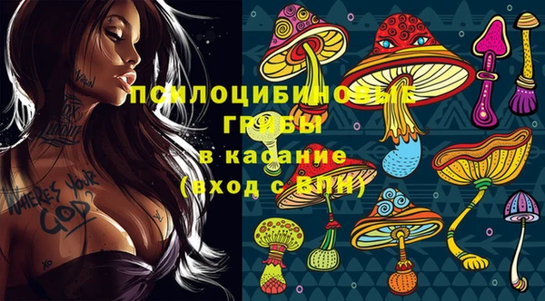 ГАЛЛЮЦИНОГЕННЫЕ ГРИБЫ Алексин